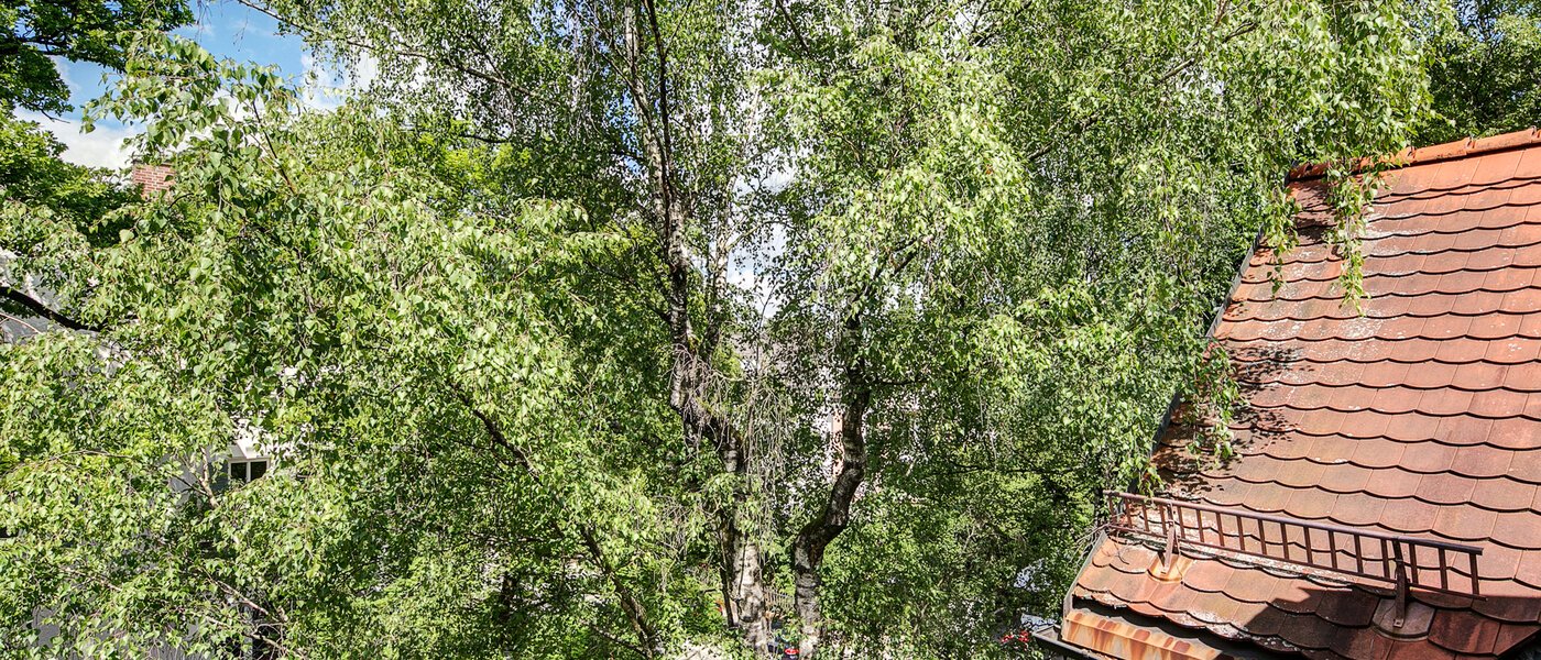 attico München Solln 03 vista 8785