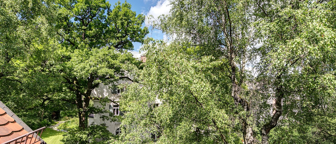 attico München Solln 06 vista 8785