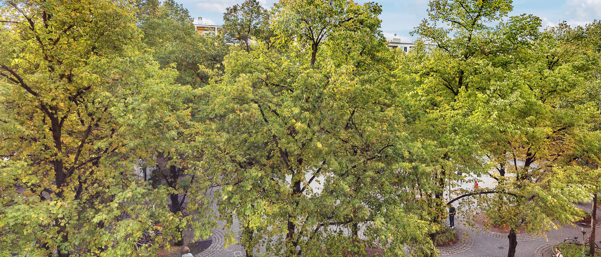 appartamento München Schwabing-West (rund um den Hohenzollernplatz) 01 vista 8850