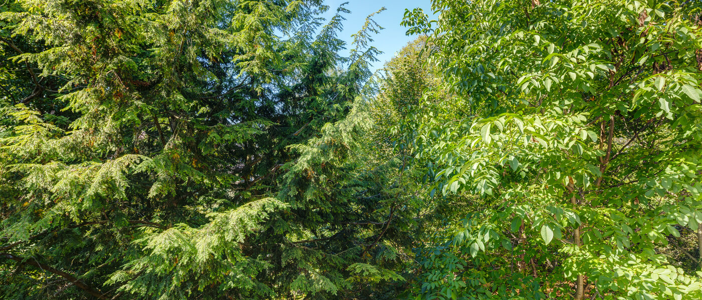 appartamento München Sendling-Westpark 02 vista 8875