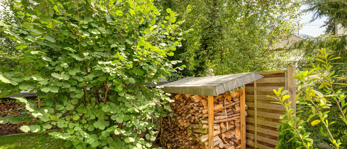 abitazione Gräfelfing 04 giardino 8902