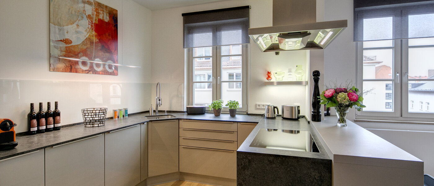 appartamento München Maxvorstadt - Universitätsviertel 01 cucina 9074