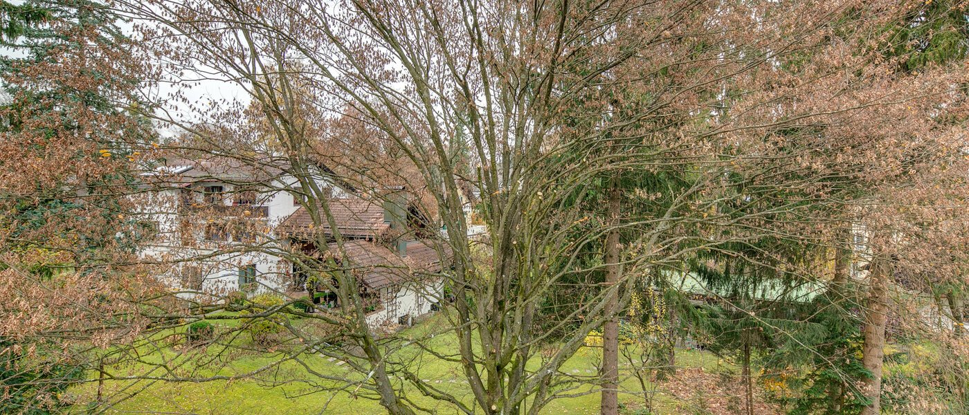 attico Gräfelfing 01 vista 9079