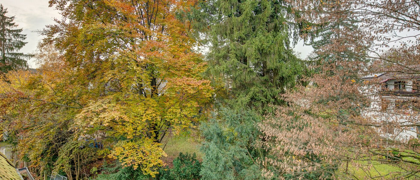 attico Gräfelfing 02 vista 9079