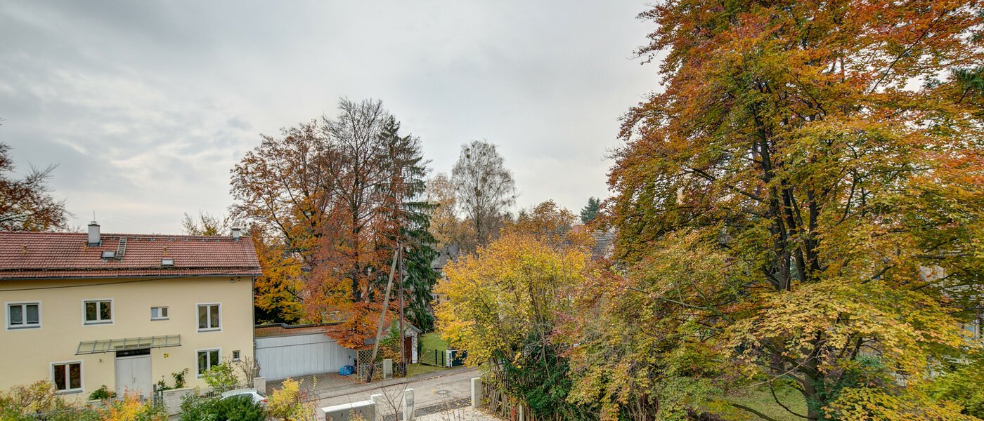 attico Gräfelfing 04 vista 9079