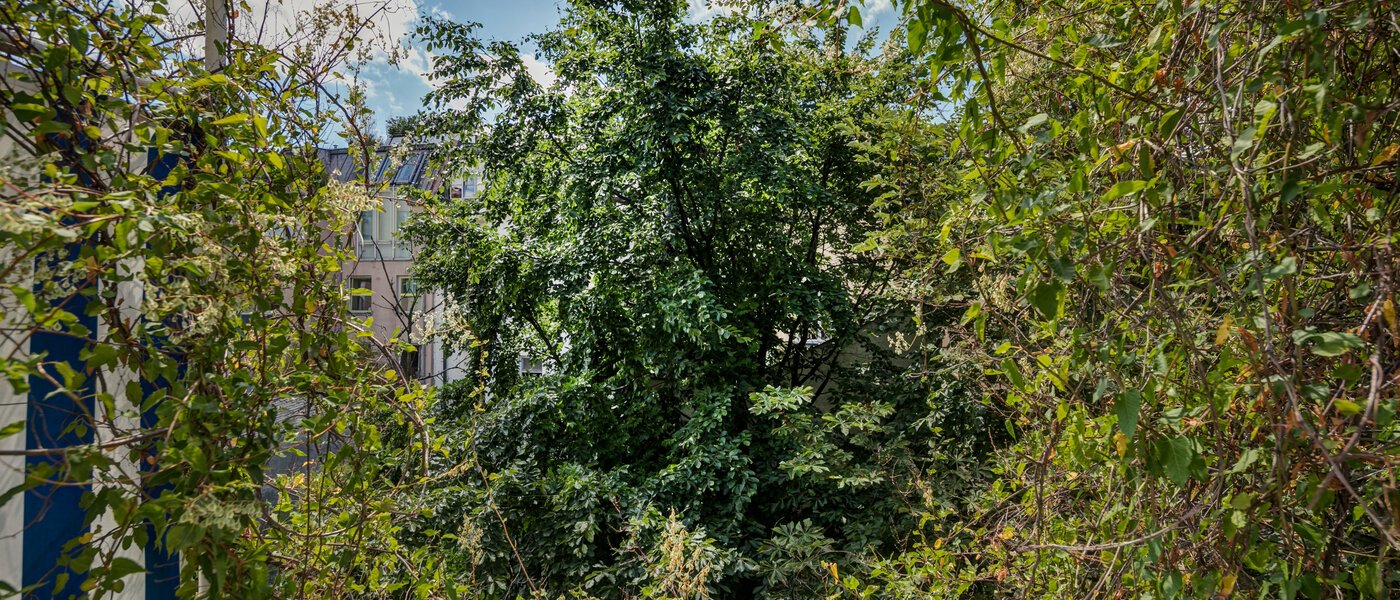 abitazione München Schwabing 02 vista 9272