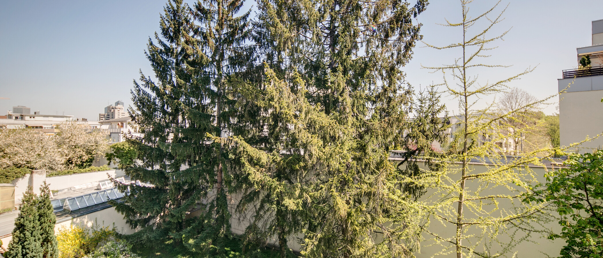 appartamento München Schwabing (rechts der Leopoldstraße) 01 vista 9457