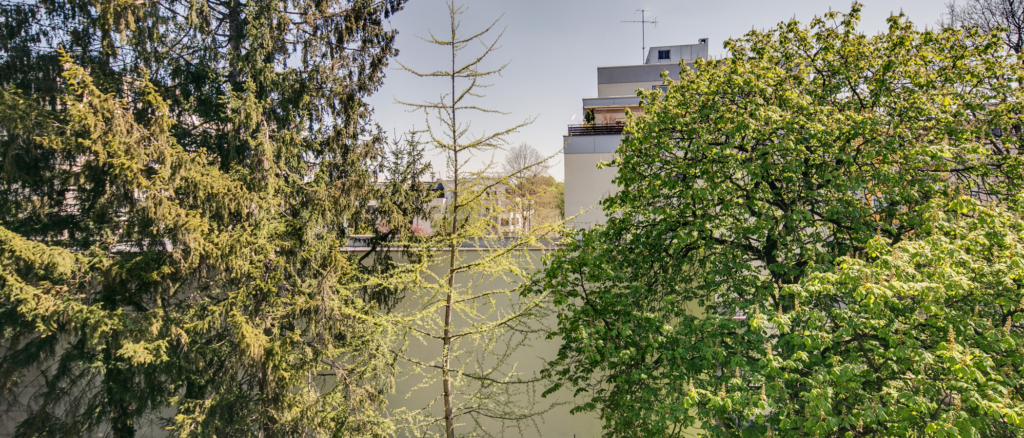 appartamento München Schwabing (rechts der Leopoldstraße) 02 vista 9457