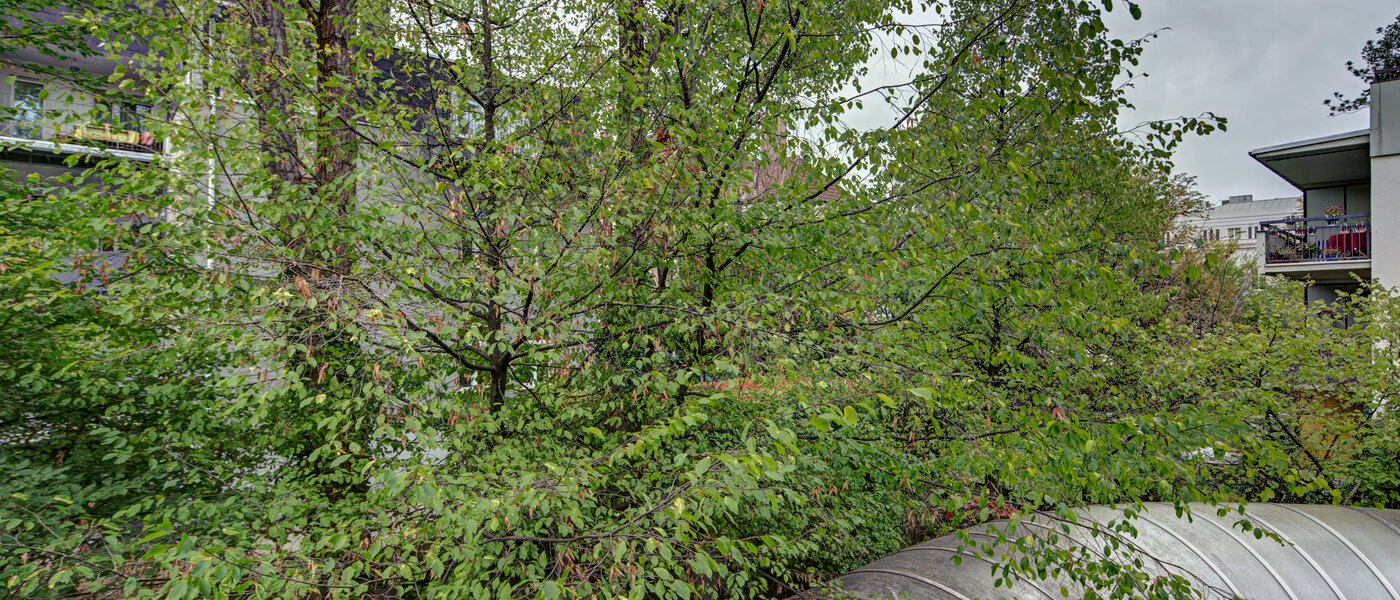 appartamento München Haidhausen 02 vista 9683