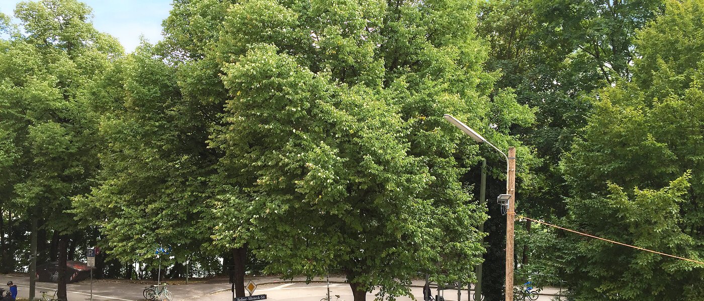 appartamento München Isarvorstadt 03 vista 9687