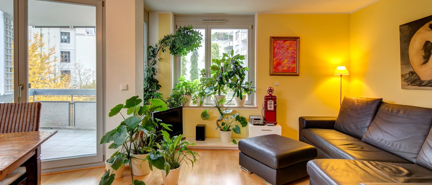 al momento non disponibile