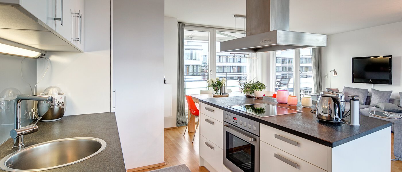 penthouse München Obergiesing 02 cucina 9778