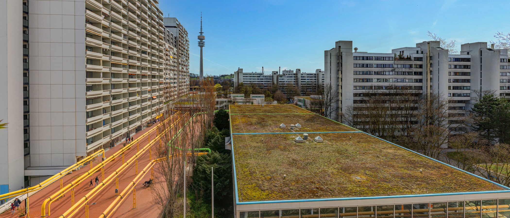 appartamento München Olympiadorf 01 vista 9781