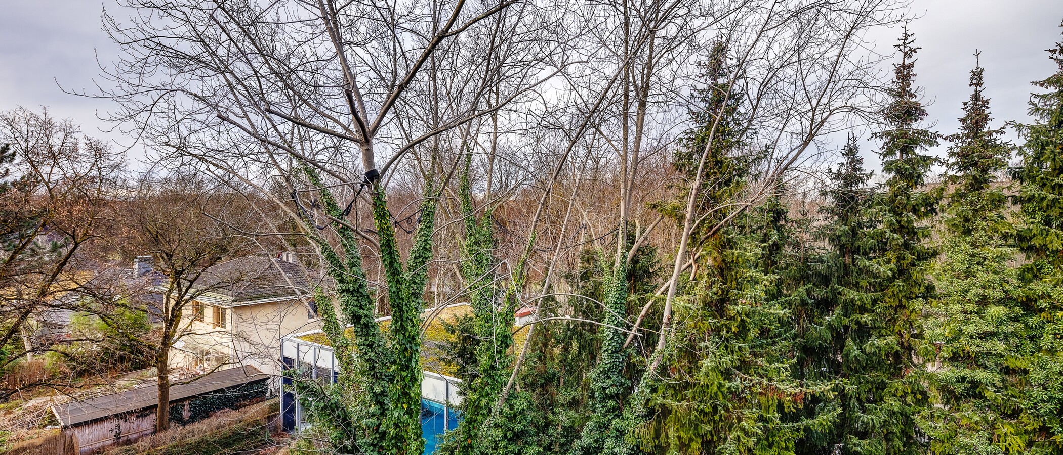 appartamento München Schwabing-Nord (zw. Leopoldstraße & Englischen Garten) 01 vista 9789