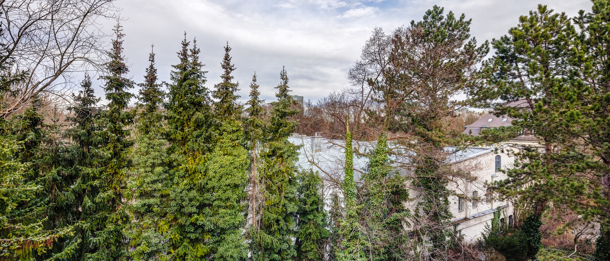 appartamento München Schwabing-Nord (zw. Leopoldstraße & Englischen Garten) 02 vista 9789