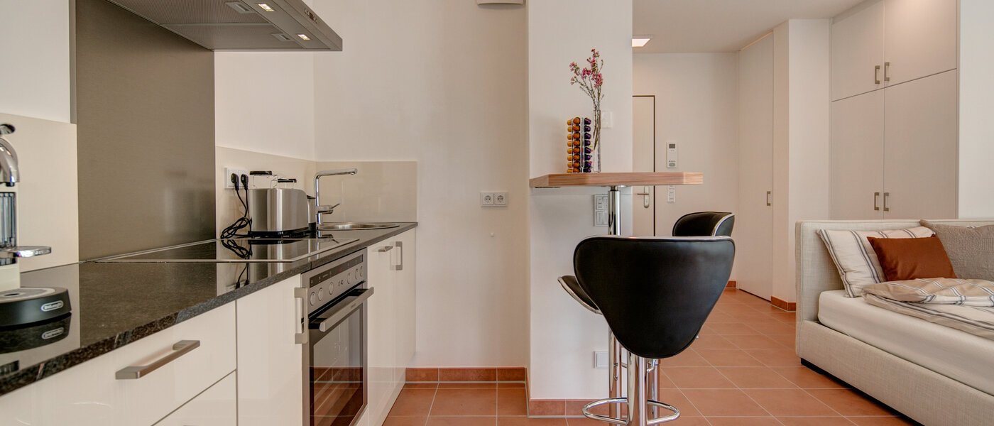 appartamento München Isarvorstadt 03 cucina 9891