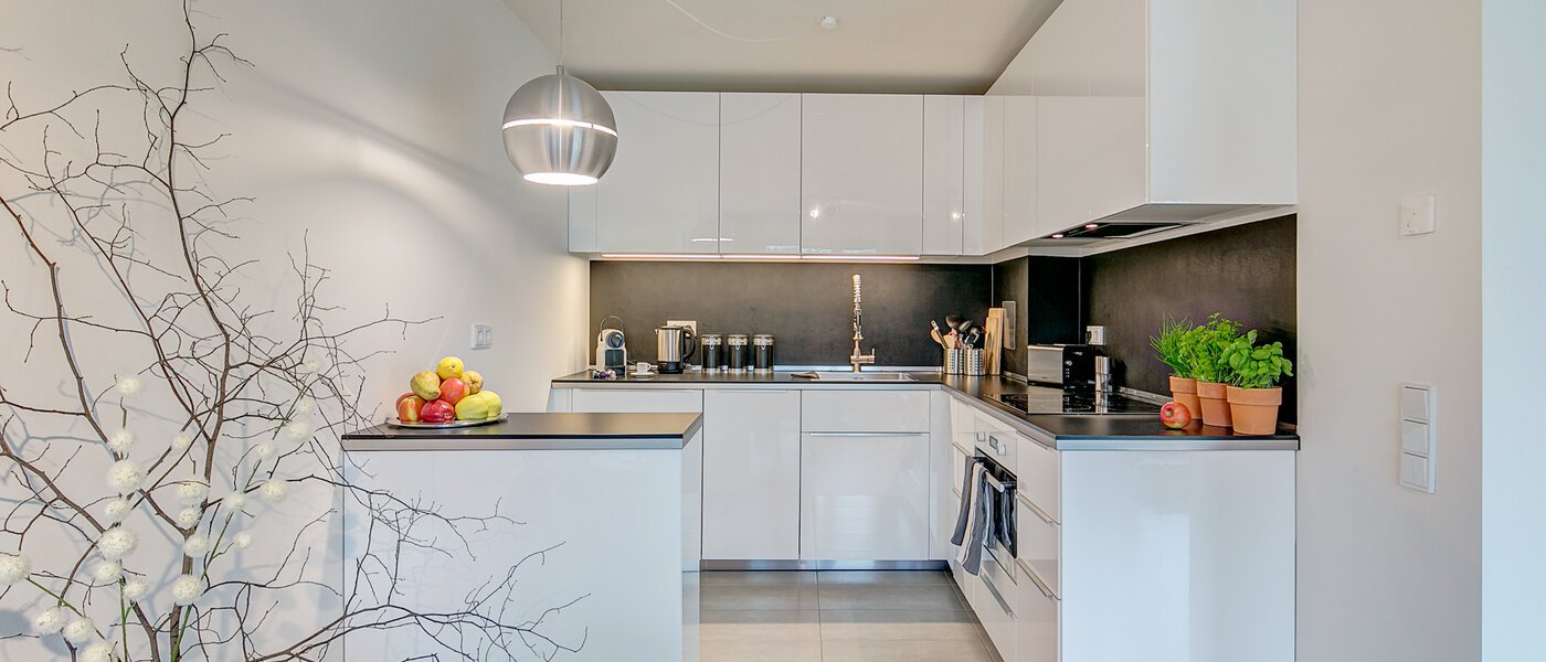 appartamento München Schwabing-Georgenschwaige 01 cucina 9904