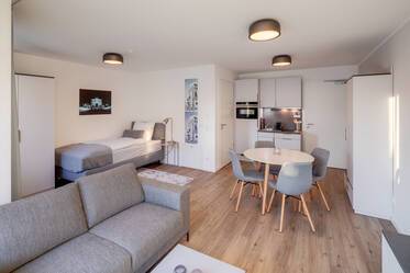 Abitazione molto ben arredata, a Milbertshofen