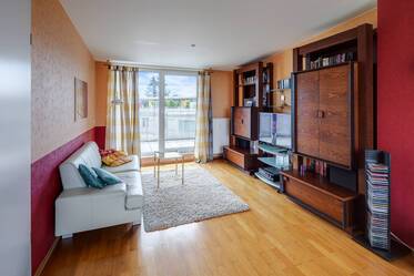 Luminoso appartamento di 2 locali con due terrazze sul tetto in affitto