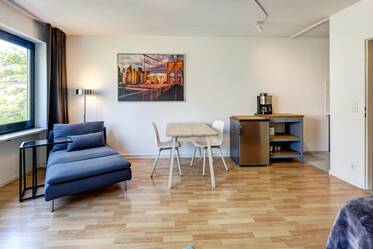 Appartamento ben arredato, a Neuhausen