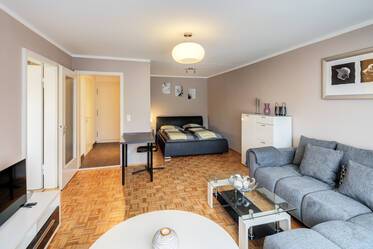 Bellissimo monolocale arredato in stile moderno e di grandi dimensioni