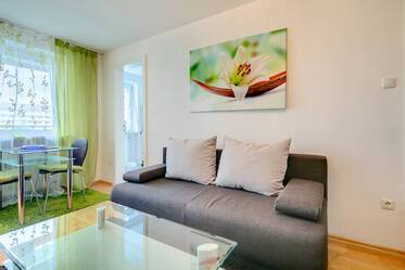 Appartamento ben ammobiliato, a Obergiesing