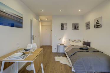 Monolocale luminoso e moderno con balcone