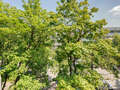 appartamento München Milbertshofen 01 vista 11650