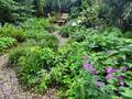 appartamento München Altbogenhausen 02 giardino condiviso 13119