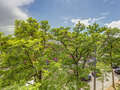 appartamento München Neuhausen 02 vista 13994