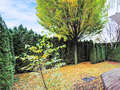 appartamento con giardino München Denning 01 giardino 14634