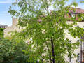 appartamento München Schwabing-West 01 vista 14894