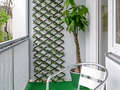 abitazione München Schwabing (links der Leopoldstraße) 01 balcone 2333