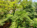 abitazione München Schwabing-West 02 vista 2711