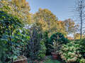abitazione München Milbertshofen 01 giardino 5833