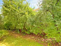 appartamento München Schwabing - Alte Heide 01 vista 6261