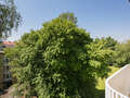abitazione München Bogenhausen 01 vista 7047