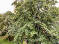abitazione München Bogenhausen 01 vista 8773