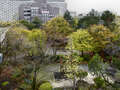 attico con terrazzo München Arabellapark 01 vista 9024