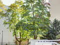 appartamento München Neuhausen 01 vista 9686
