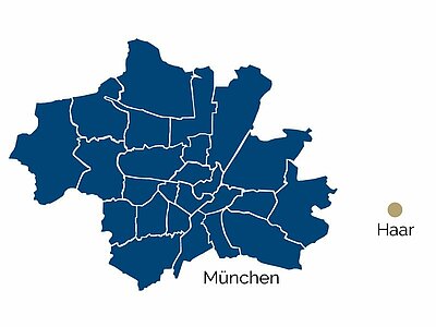 Posizione di Haar Mappa di Haar