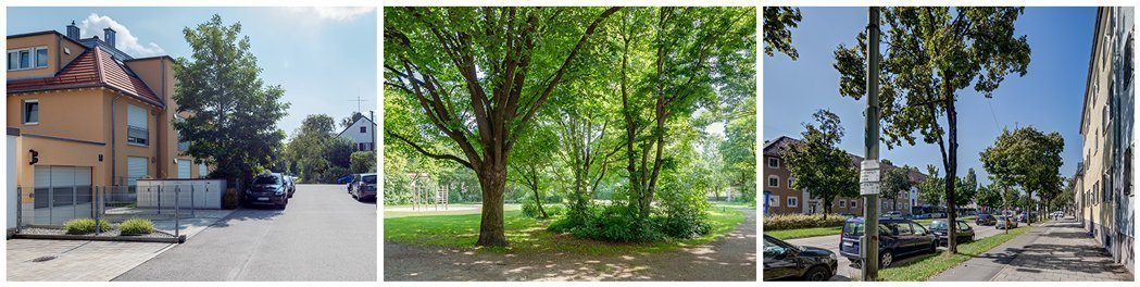 Waldfriedhof e dintorni 